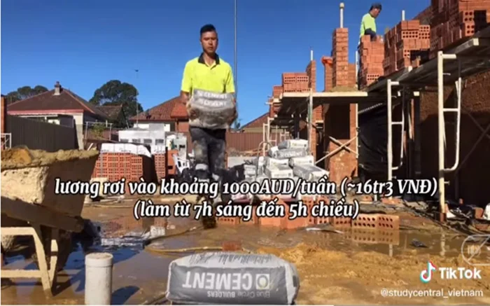 Nam sinh Việt phụ hồ ở Úc lương 60 triệu/tháng, ngày làm 10 tiếng
